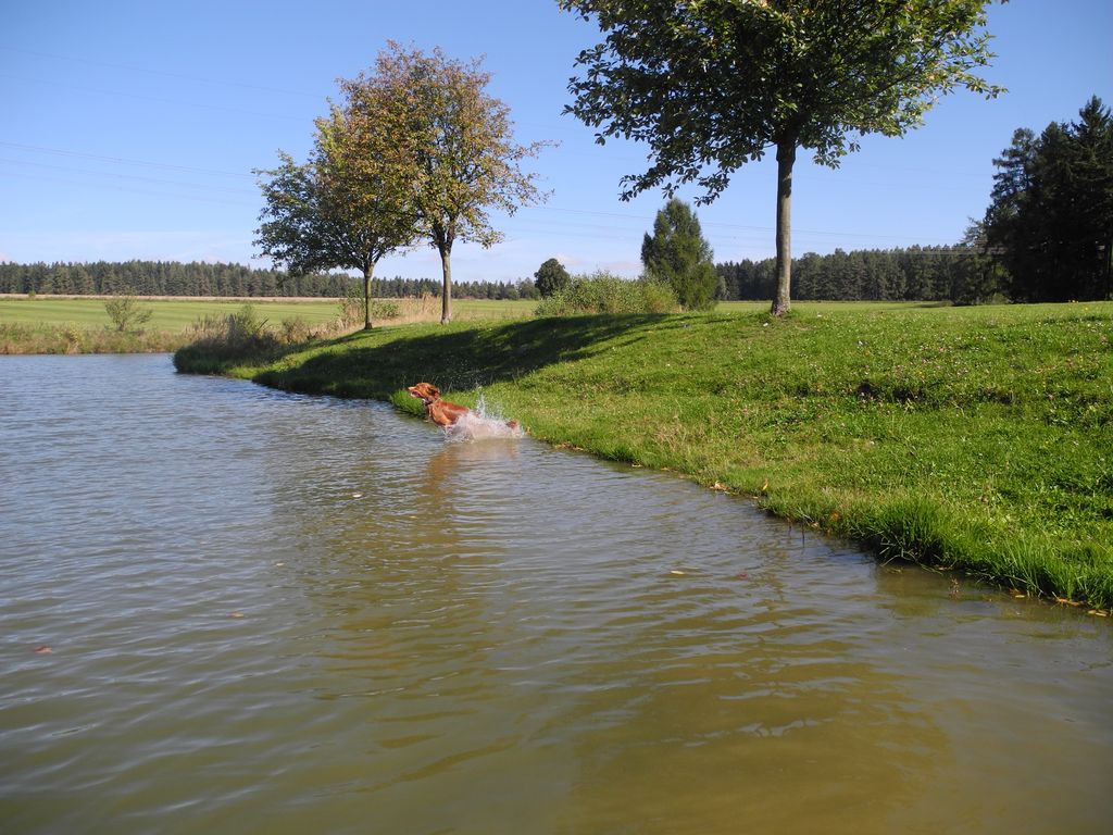 DSCN1748