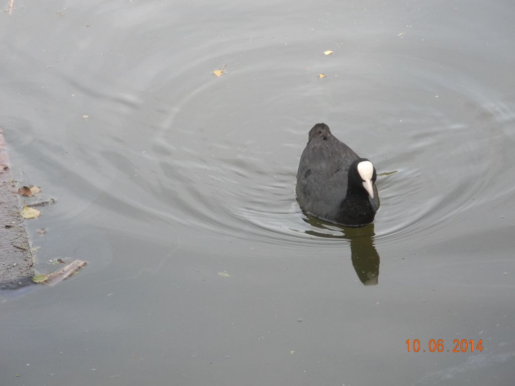DSCN2081