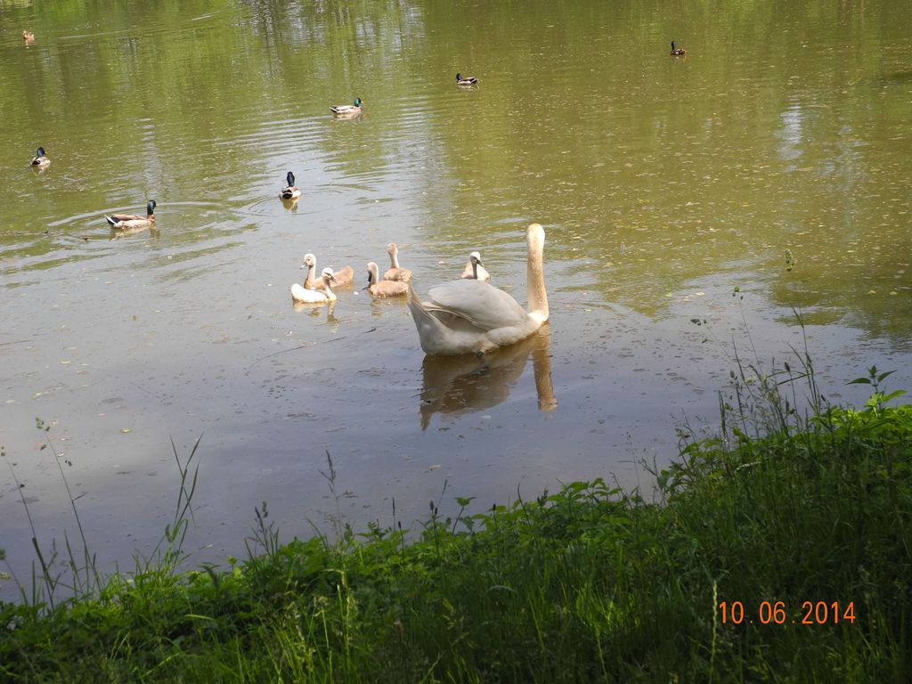 DSCN2084